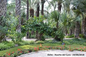 19 ELCHE HUERTO DEL CURA (129)